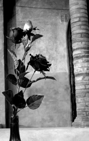 103_fiori di un teatrino_tema libero